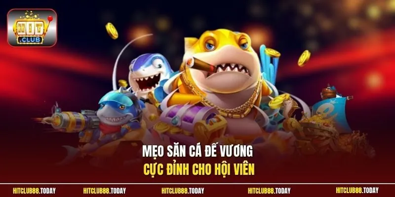 Bắn Cá Đế Vương | Khẳng Định Đẳng Cấp Đại Gia Hốt Quà Cực To 4 Sunwin Mẹo săn cá Đế Vương cực đỉnh cho hội viên