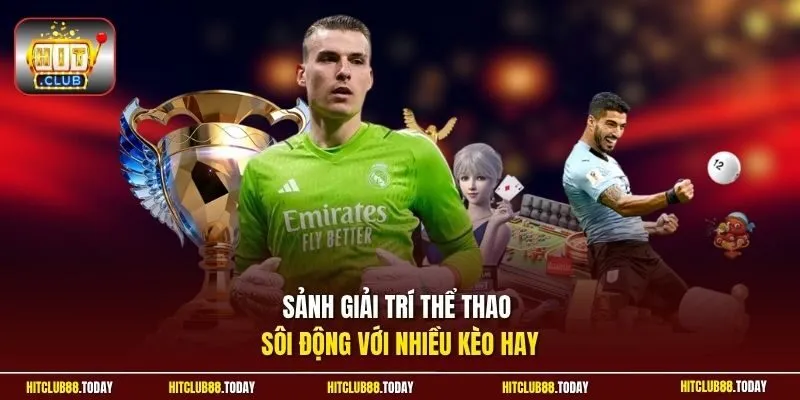 HITCLUB 🎲 Cổng Game HIT CLUB 19 Sunwin Sảnh giải trí thể thao sôi động với nhiều kèo hay